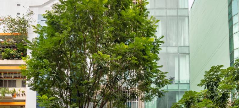 A25 酒店 - 14 福德正街(A25 Hotel - 14 Pho Duc Chinh)图片