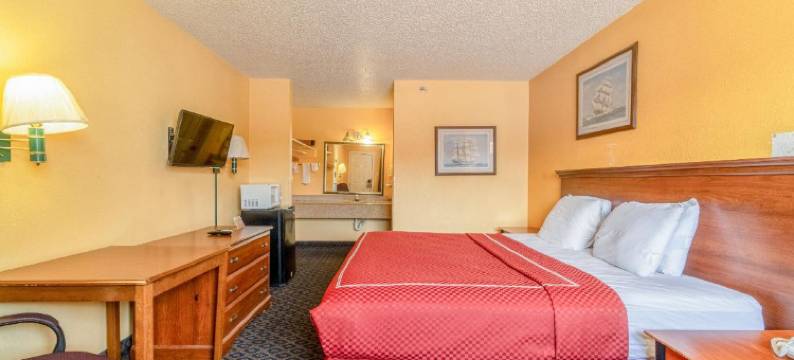 OYO 经济型旅馆法尔弗里亚斯281号公路(OYO Budget Inn Falfurrias Hwy 281)图片