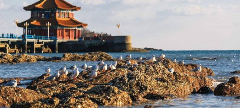 中航润信酒店(青岛八大关店)图片