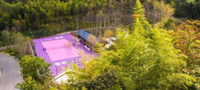 湖州十里芳菲香积岭村落图片