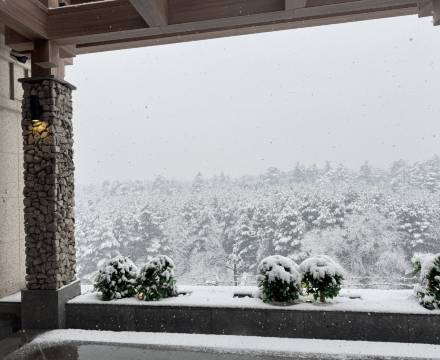 长白山璞悦温泉度假酒店图片