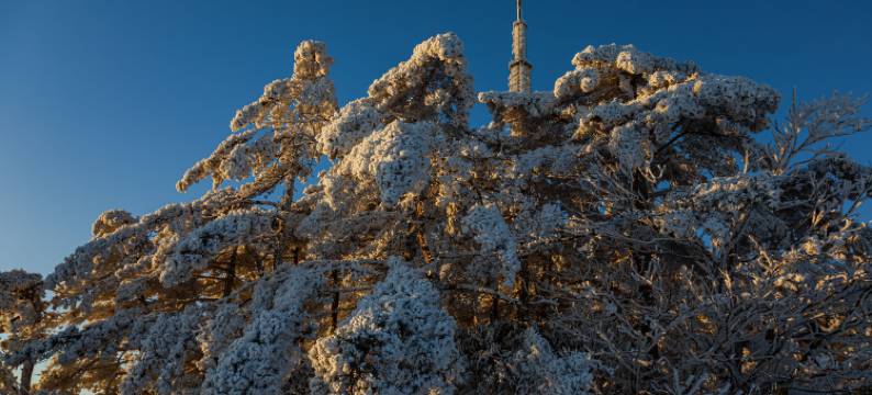 黄山白鹅山庄图片