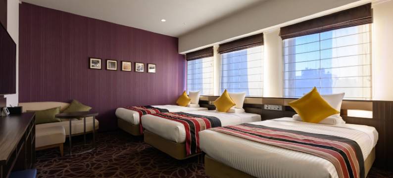 MYSTAYS 上野东酒店(HOTEL MYSTAYS Ueno East)图片