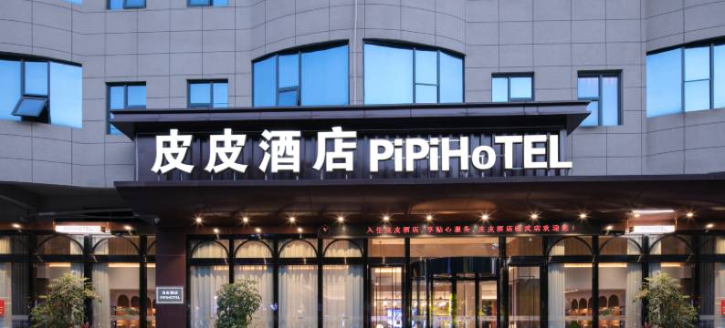 临武皮皮酒店(县政府店)图片