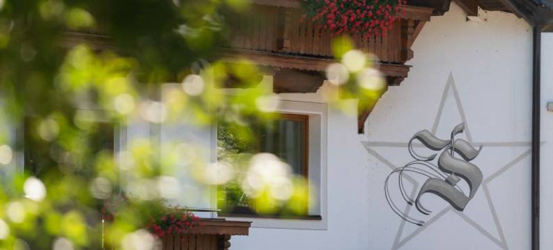 尊斯特伦霍夫酒店(Wellness Hotel ZUM STERNENHOF)图片