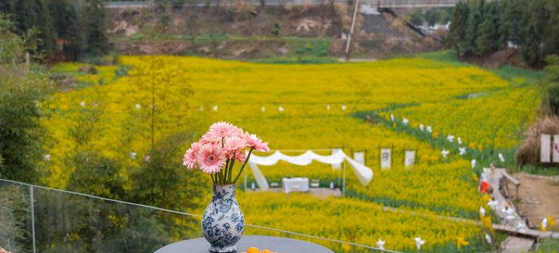 婺源·云上青野·Villa设计师美宿图片