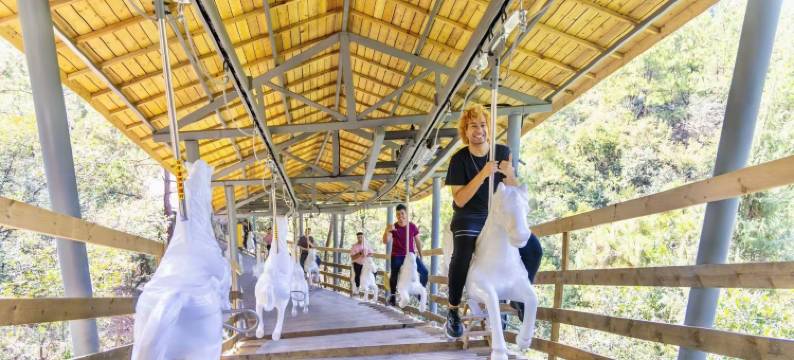 安吉桃源慢谷民宿(中南百草原店)图片