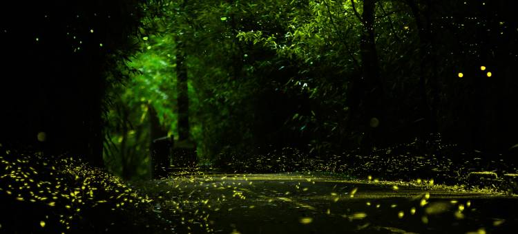 溧阳美岕山野温泉度假村图片