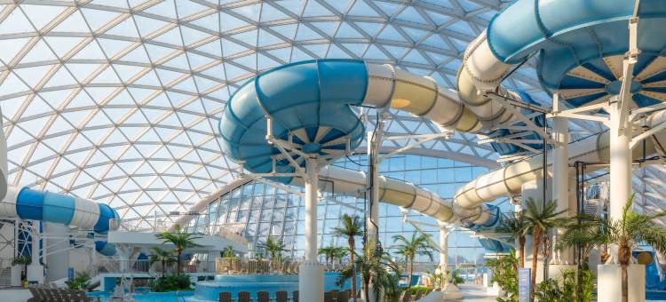 扎维多沃丽笙度假村(Radisson Resort, Zavidovo)图片