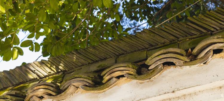 花筑奢·乌镇沐舍拾光温泉民宿图片