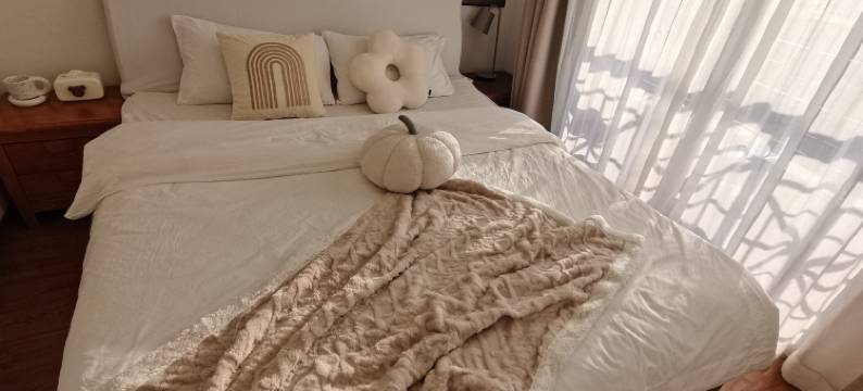 Angie冰心公寓(深圳岗厦店)图片