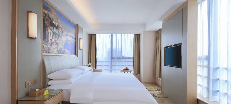 维也纳酒店(武安广场店)图片