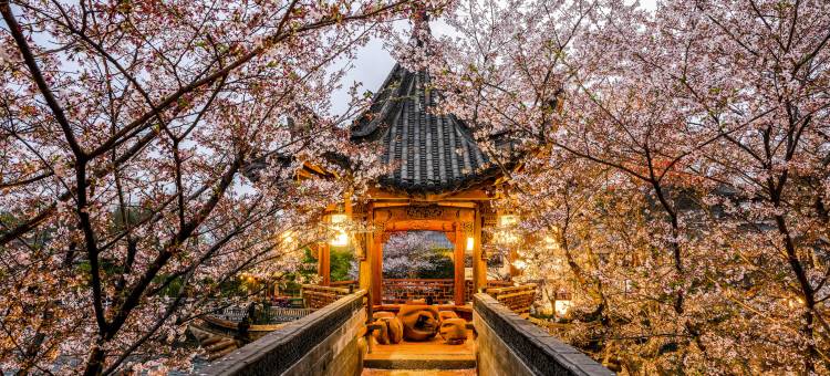 中国院子·梦溪苑·隐居酒店图片