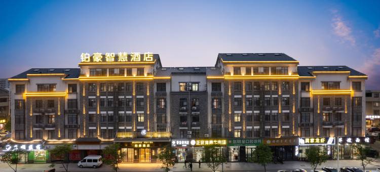 铂豪智慧酒店(义乌佛堂古镇宝龙广场店)图片