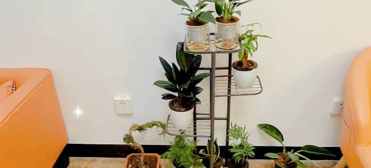 丽江恒丰宾馆图片