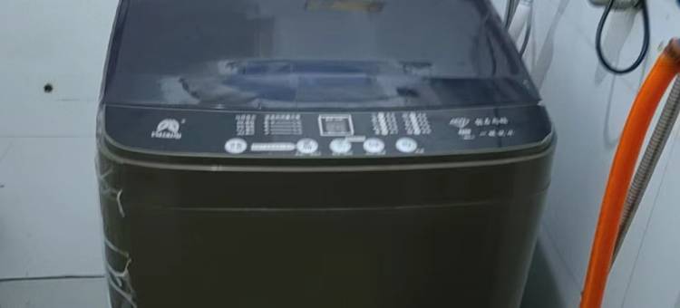 重庆蒂瑞斯宾馆图片