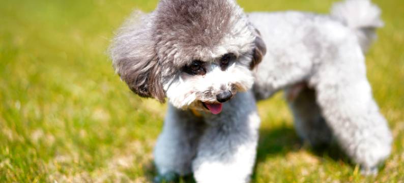 宁波东钱湖华茂希尔顿酒店图片