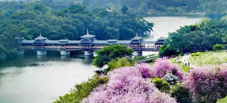颐湾酒店(柳州银泰城店)图片