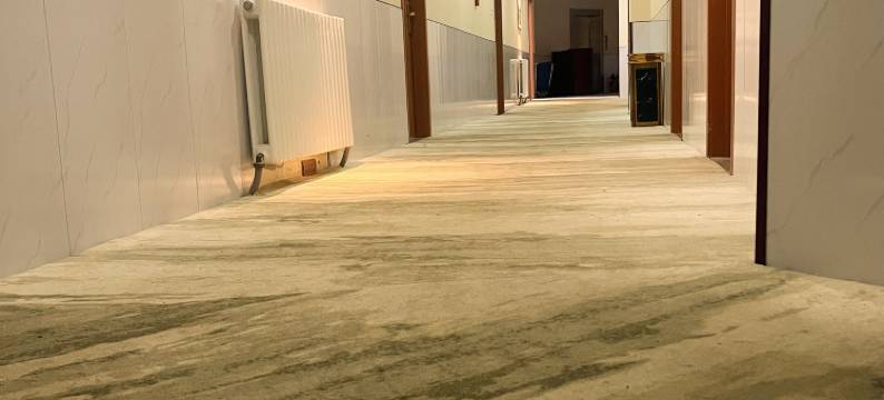 张北蓝鲸假日酒店图片