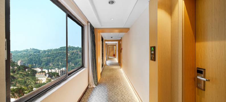 重庆金隆酒店(万州万达广场店)图片