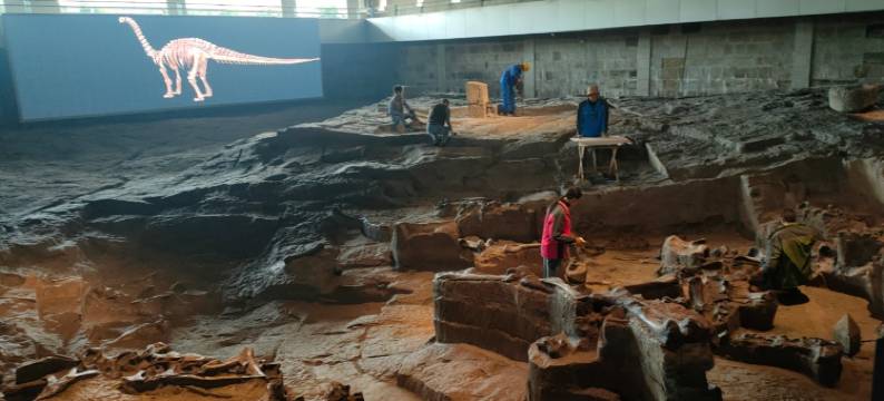 自贡一家民宿(方特恐龙王国店)图片