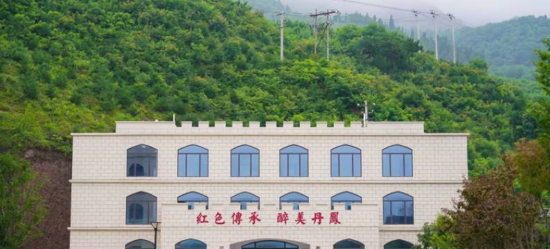 丹凤东凤酒庄酒店图片