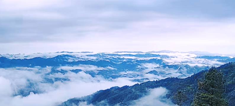 千山越·四季野奢民宿图片