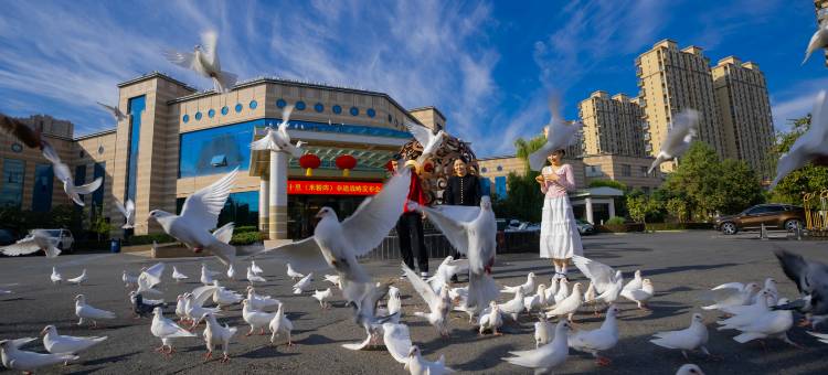 昌吉园林宾馆(东方广场店)图片