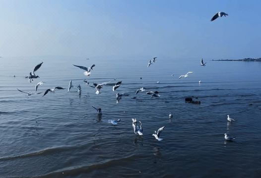 Chateau Star River QingdaoHotel Overview