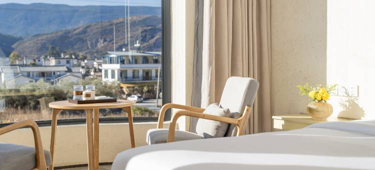 叁屿禾温泉民宿(洱源牛街店)图片