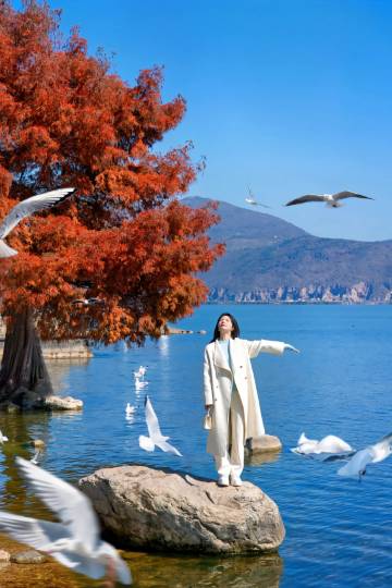 大理龙龛码头●柿野SHIYE丨Cafe Coco设计师美宿(摩洛哥天台店)图片