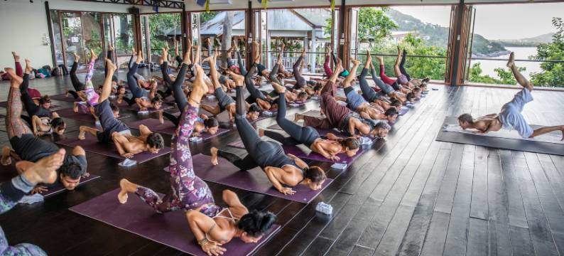 维卡萨瑜伽静修(Vikasa Yoga Retreat)图片