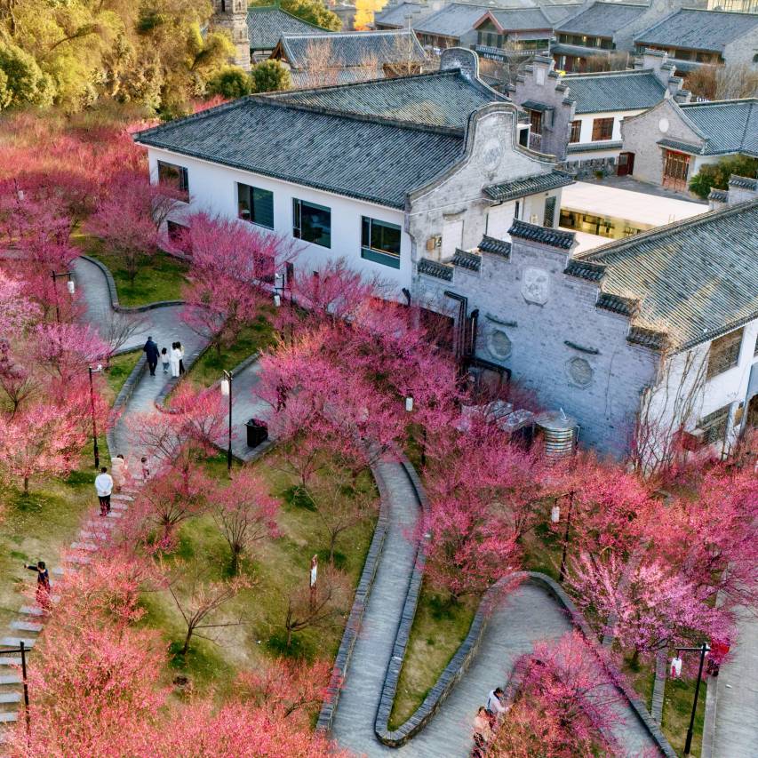 临海市羽山集民宿图片