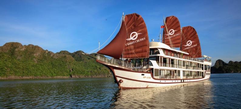 V'Spirit Cruises图片