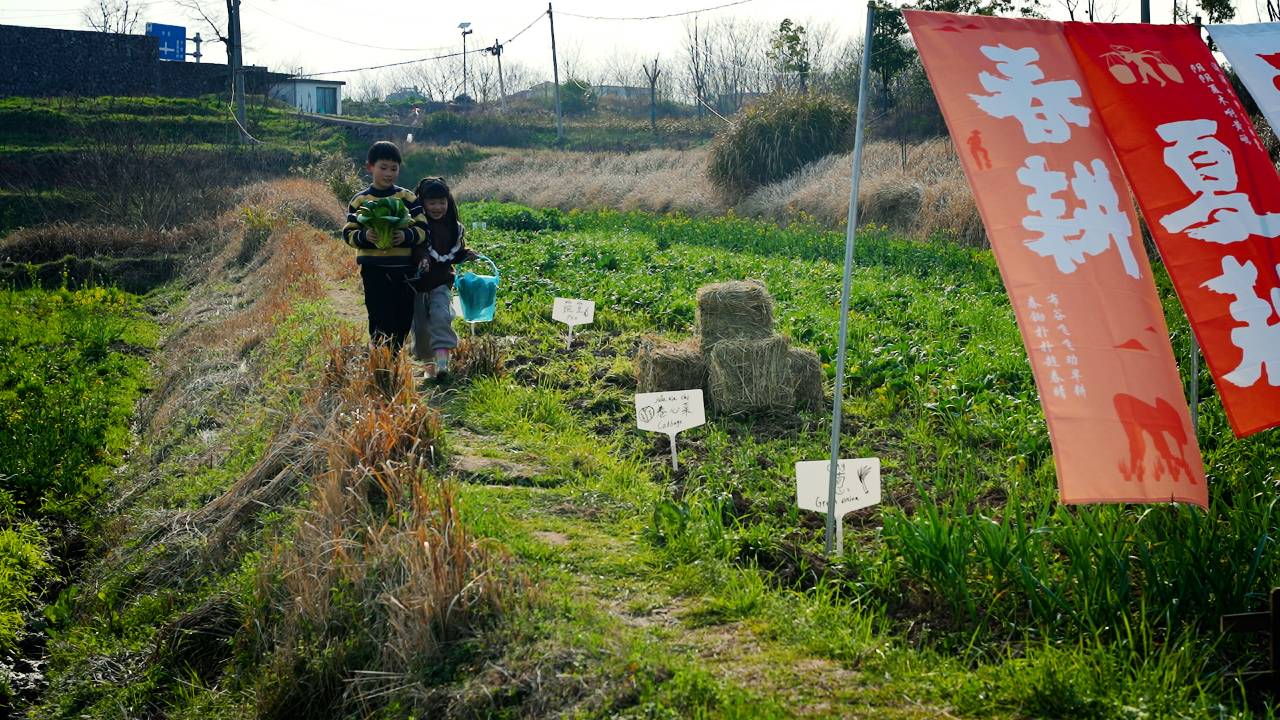 衢州中环雷迪森庄园图片