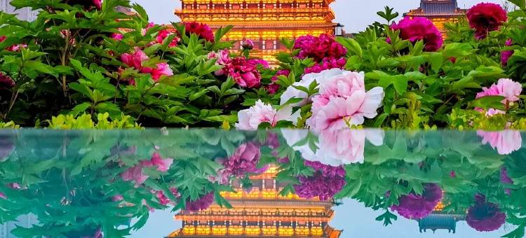 洛阳凤翔温泉酒店(龙门高铁站店)图片