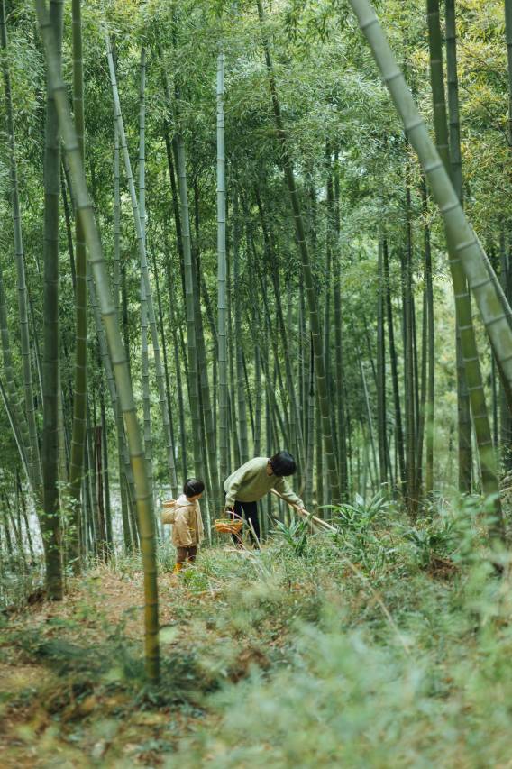 大乐之野·绿山墙(安吉店)图片
