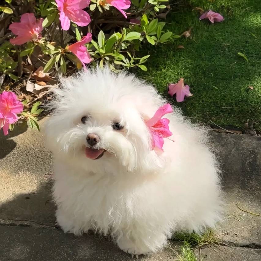 麗枫酒店(长沙土桥地铁站万家丽北路店)图片