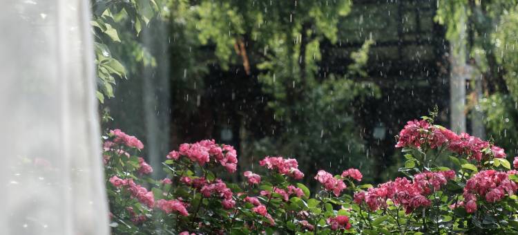 云梵山居雪山观景客栈(丽江束河古镇店)图片