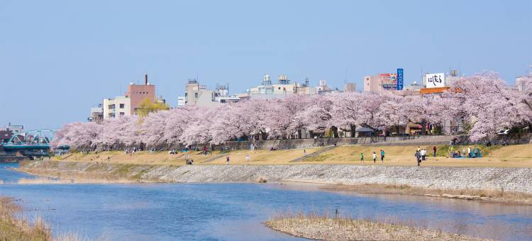 金泽Tmark城市酒店(Tmark City Hotel Kanazawa)图片