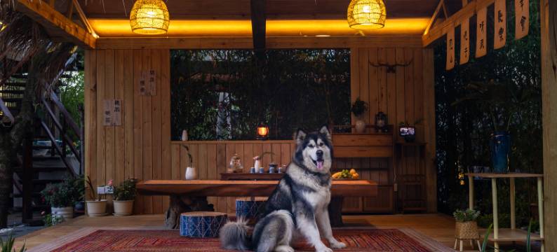 探花府连锁客栈(丽江旗舰店)图片