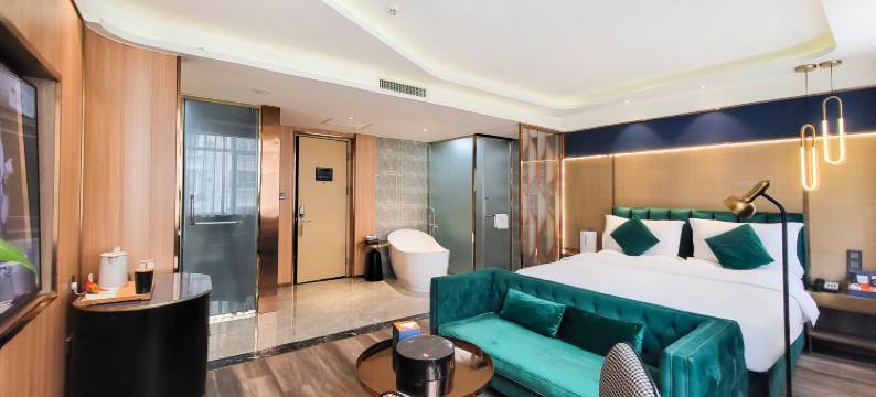 新巢IU酒店(MM2购物中心自治区博物馆店)图片