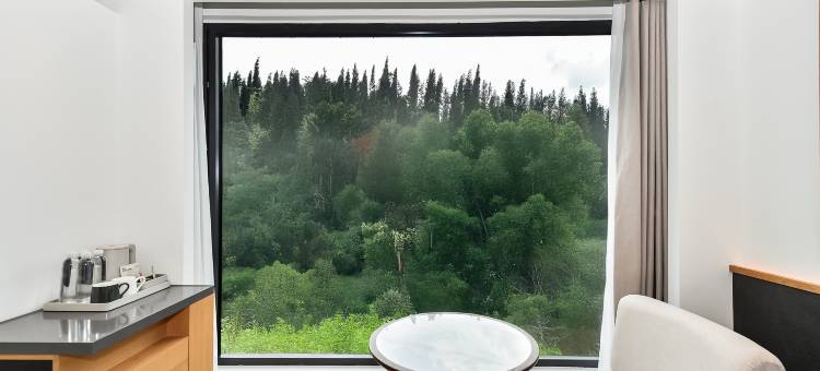 丽呈文览酒店(安顺镇宁黄果树瀑布店)图片