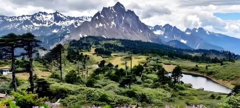 德钦迪青康珠民宿图片