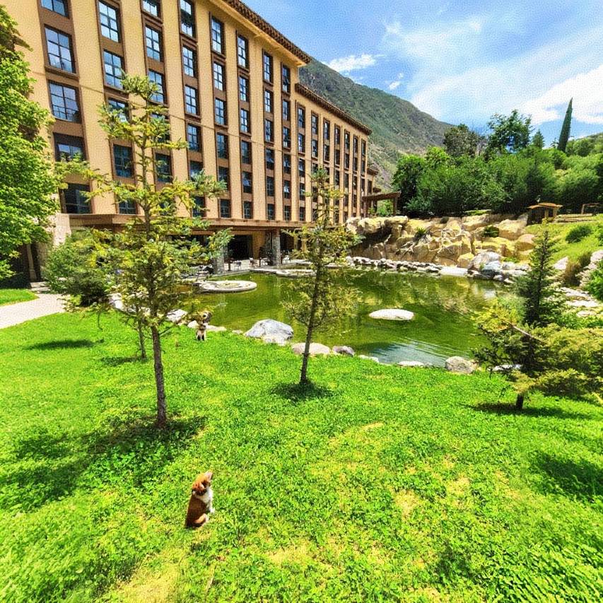 芒康云曲庄园酒店图片