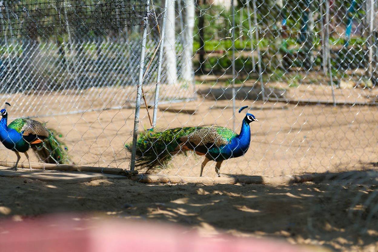观澜小洱海·养心酒店图片