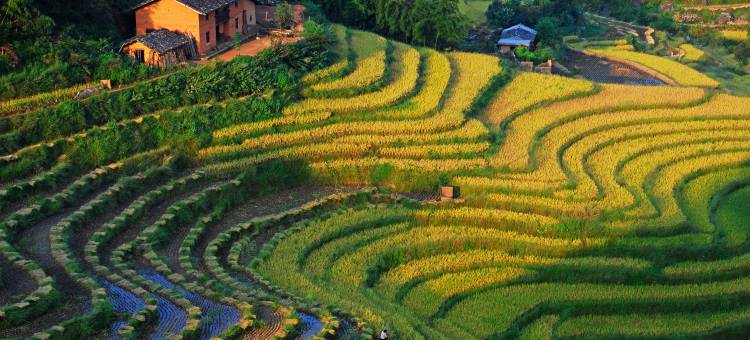 遂川桃源梯田洞穴酒店图片