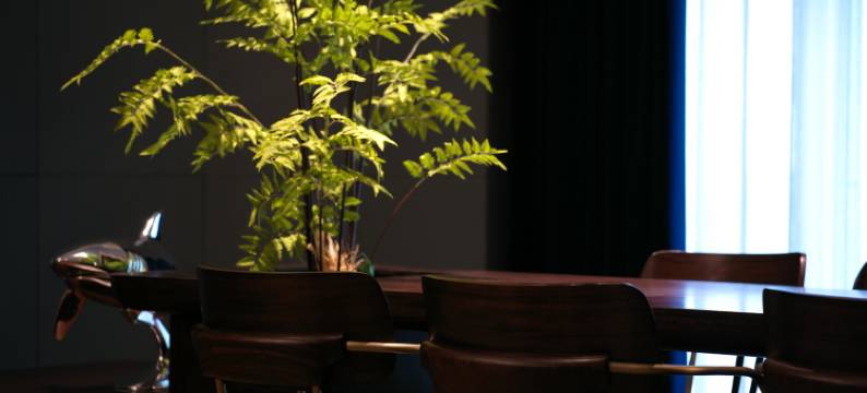 烟台枫渡酒店(烟台站朝阳街店)图片