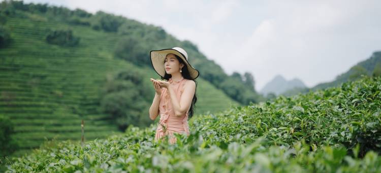 英德·松香山舍The Rosin Valley Villa & SPA(积庆里仙湖店)图片
