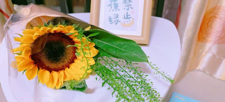 水云间纯女生青旅(京溪南方医院地铁站店)图片